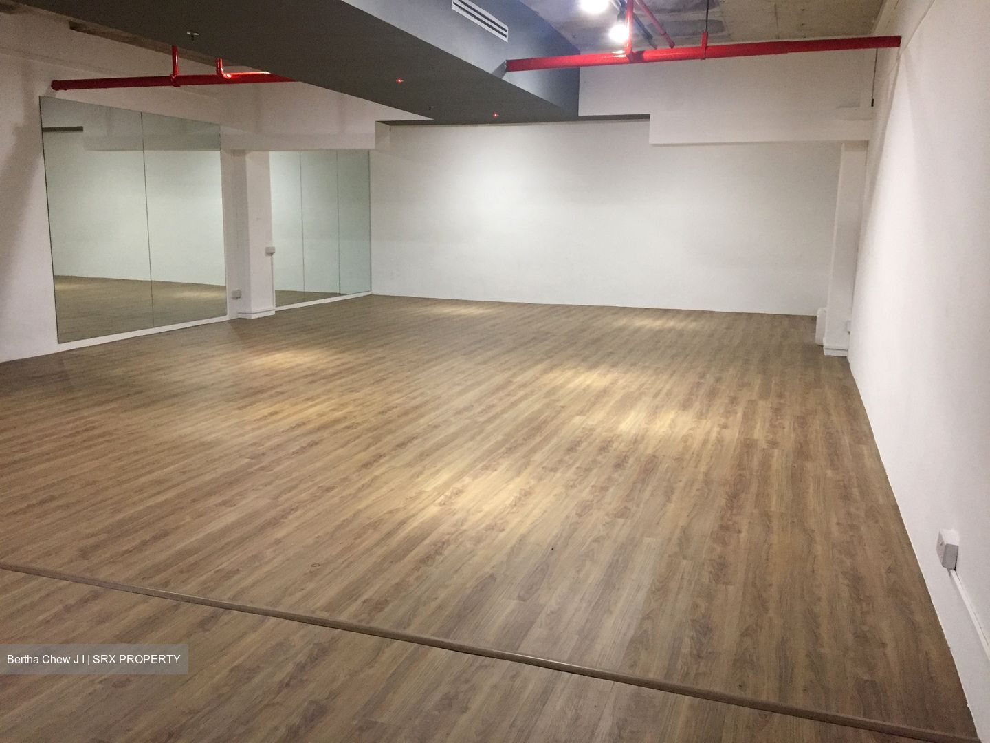 Jalan Besar Plaza (D8), Shop House #628782631